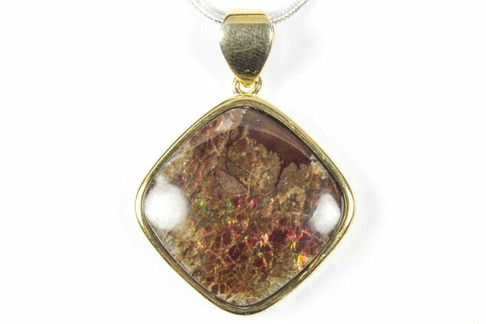 Brilliant Ammolite Pendant (Necklace) - Alberta, Canada #352209